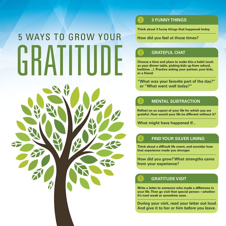 Top Ways To Cultivate Gratitude And Positivity In Everyday Life