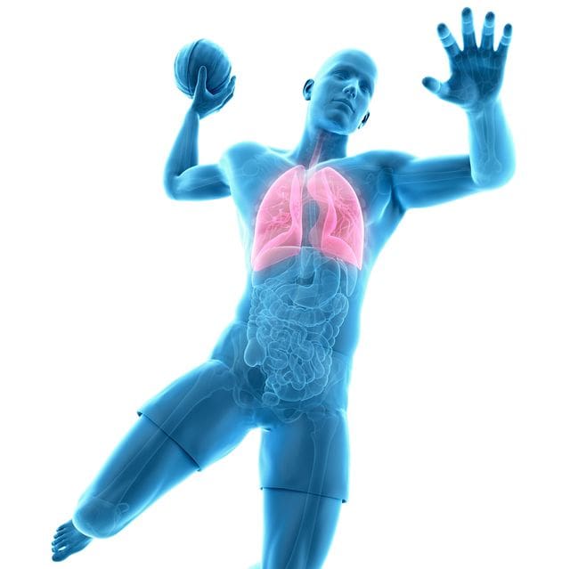 Top Ways To Improve Lung Health For Men