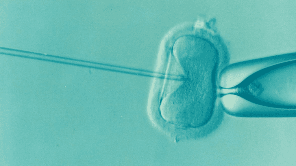 Top Ways To Improve Mens Fertility