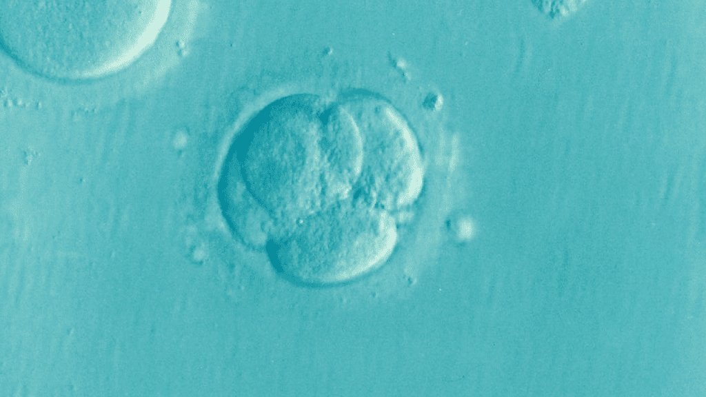 Top Ways To Improve Mens Fertility