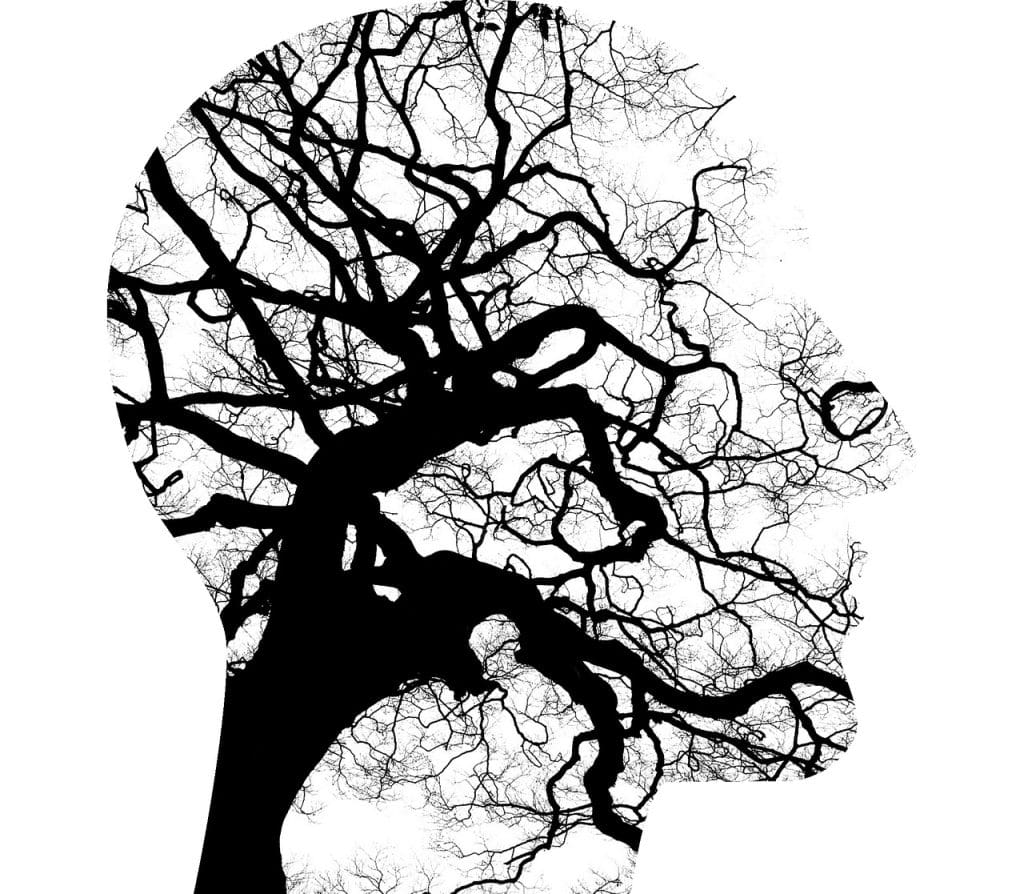 Top Ways To Support Mental And Emotional Health