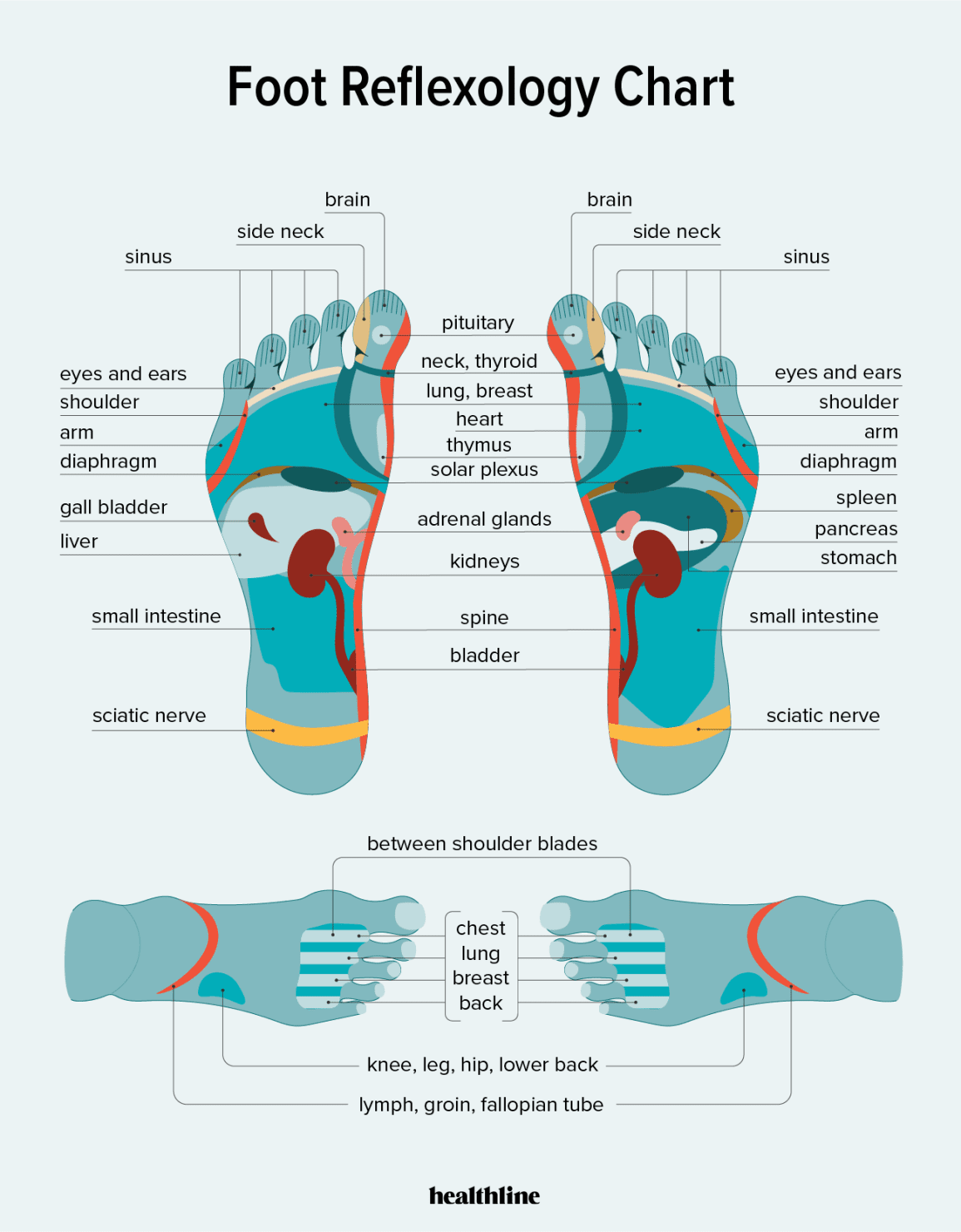 Understanding The Benefits Of Reflexology For Holistic Healing