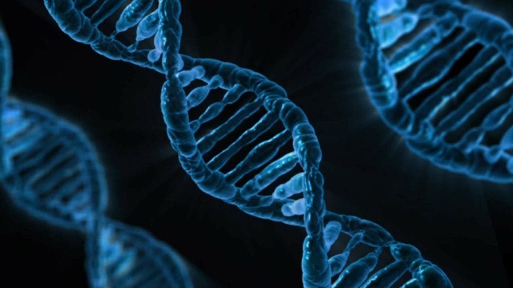 Understanding The Role Of Genetics In Age-Related Diseases