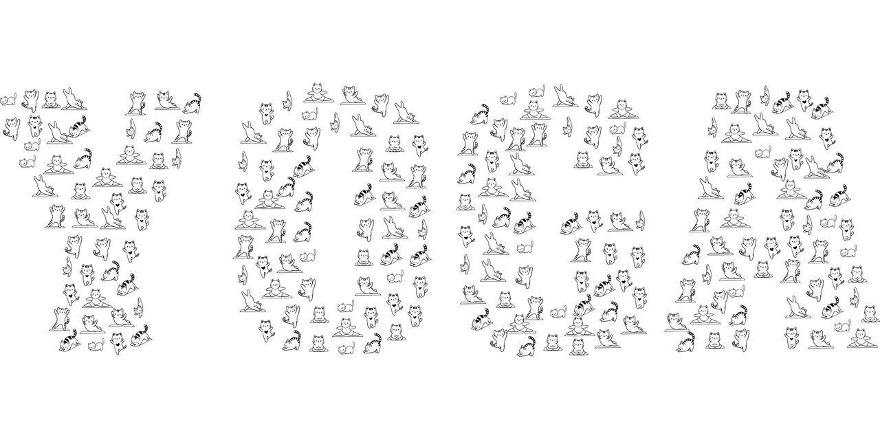 Beginners Guide To Daily Wellness Habits