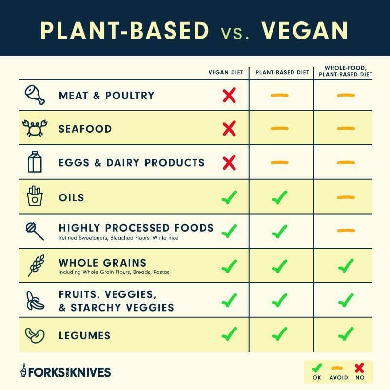 Beginners Guide To Veganism And Plant-Based Diets