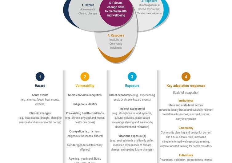 Coping With Chronic Illness And Climate Change: Health Risks And Adaptation Strategies