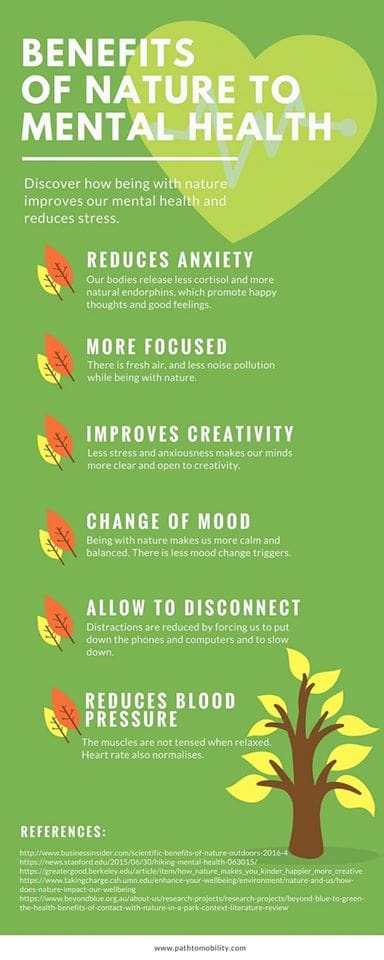 Exploring The Benefits Of Nature On Mental Well-being