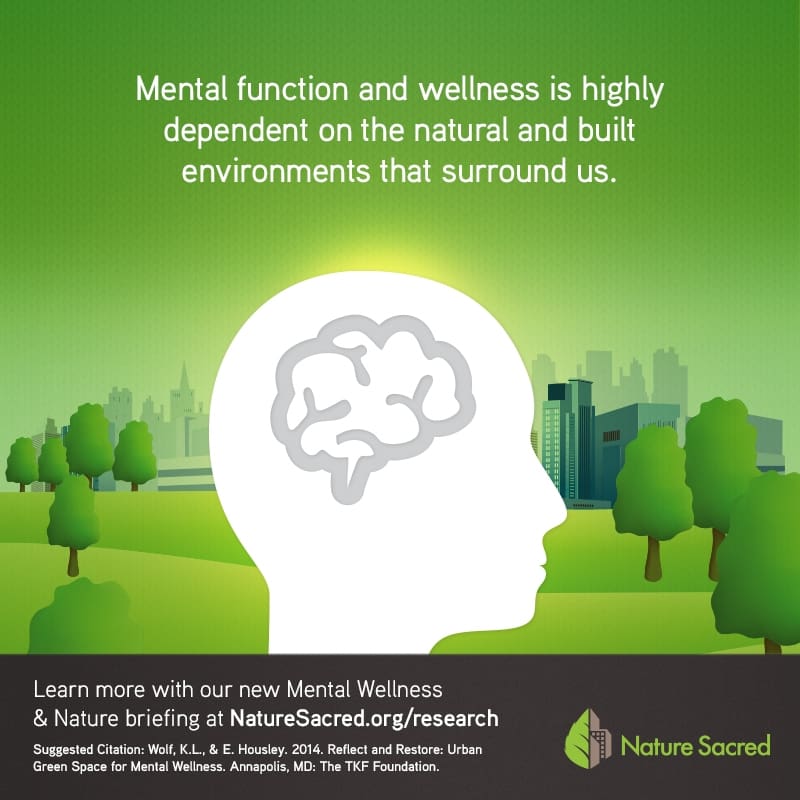Exploring The Benefits Of Nature On Mental Well-being