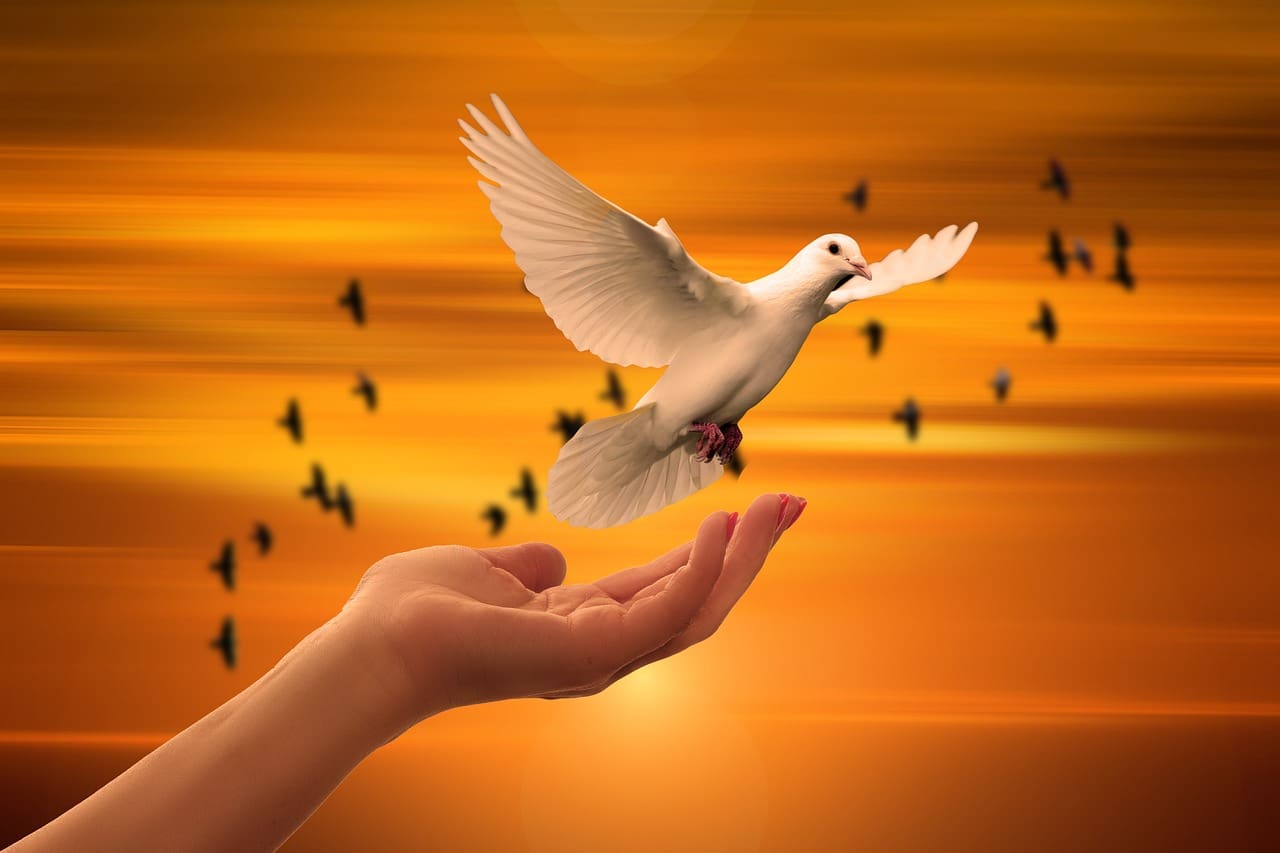 Finding Spiritual Fulfillment Through Holistic Health