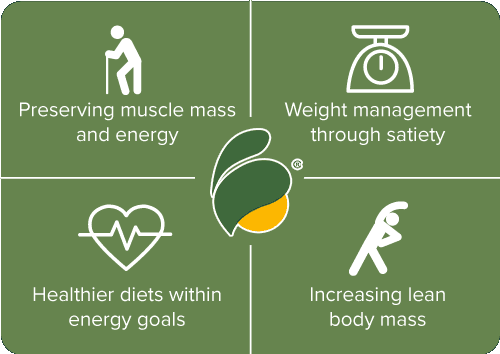 Healthy Aging And The Importance Of Plant-Based Diets