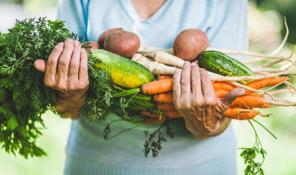 Healthy Aging And The Importance Of Plant-Based Diets