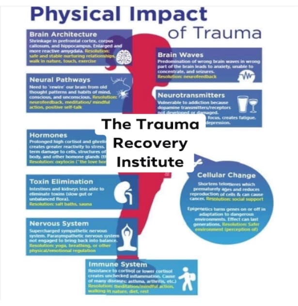 Holistic Approaches To Resolving Trauma And PTSD