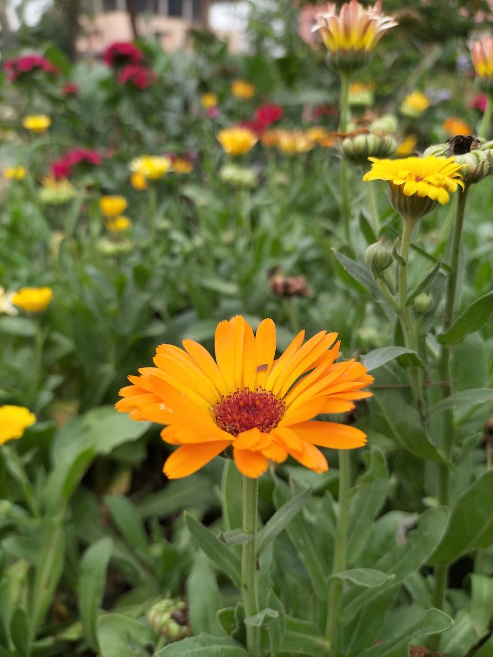 Holistic Approaches To Womens Health And Wellness