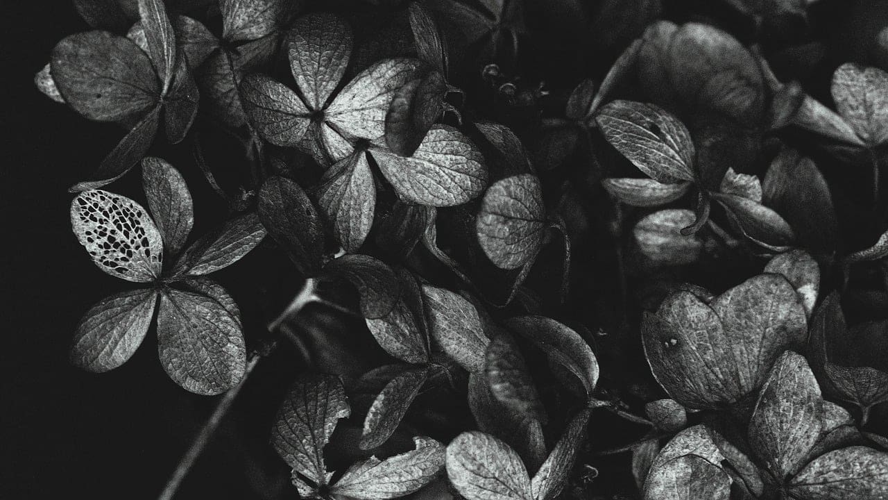 How To Cope With Grief And Loss As A Man