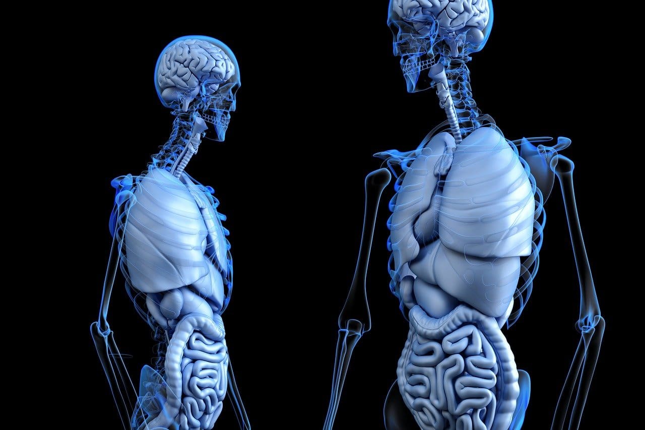 How To Exercise For Improved Digestive Health