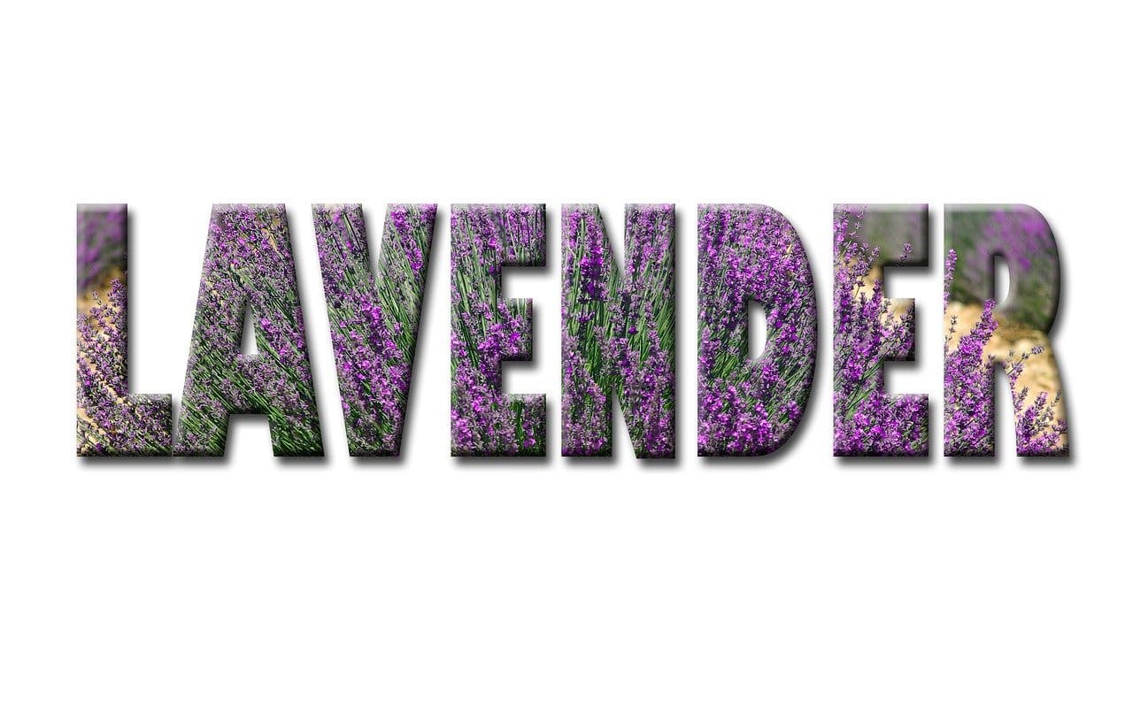 How To Use Aromatherapy For Emotional Balance