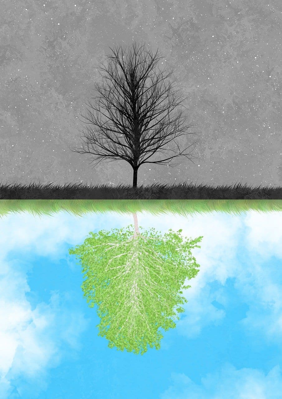 Living With Chronic Conditions And Environmental Toxins: Prevention And Advocacy