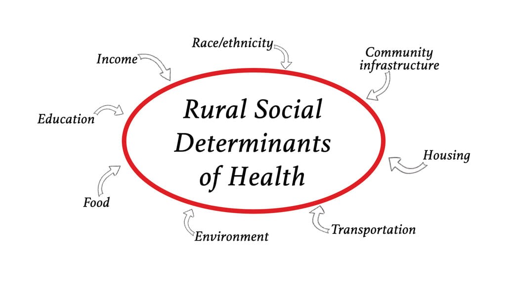 Living With Chronic Conditions In A Rural Setting: Access To Care And Community Resources