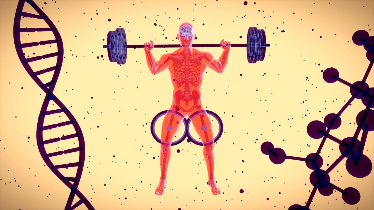Longevity And Genetics: What You Can Do To Influence Your Outcome