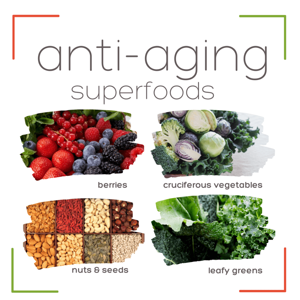 Most Popular Superfoods For Promoting Longevity And Vitality