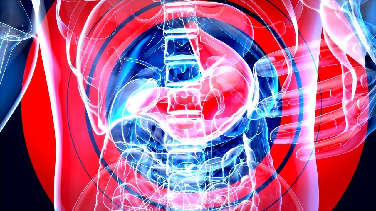 Natural Ways To Support Digestive Health Natural Ways To Support Digestive Health