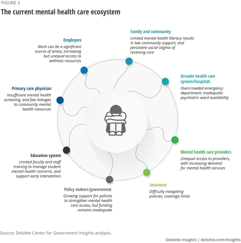 Navigating Challenges In Advocating For Mental Health Policy Reform