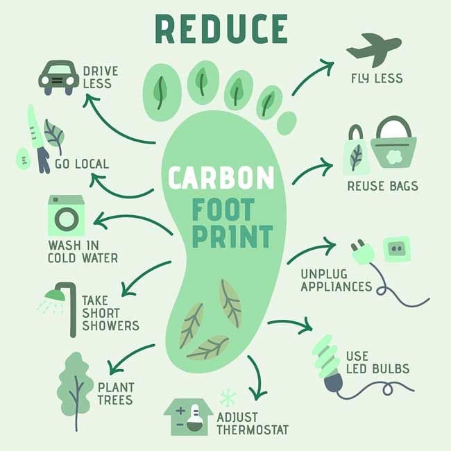 Promoting Mental Well-being Through Sustainable Living And Eco-friendly Practices Promoting Mental Well-being Through Sustainable Living And Eco-friendly Practices
