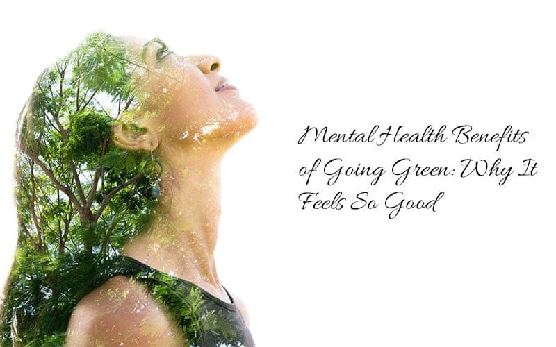 Promoting Mental Well-being Through Sustainable Living And Eco-friendly Practices Promoting Mental Well-being Through Sustainable Living And Eco-friendly Practices