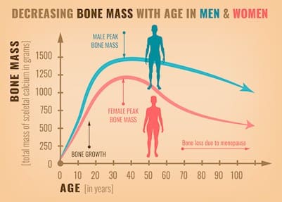 Supporting Women’s Bone Health At Every Age