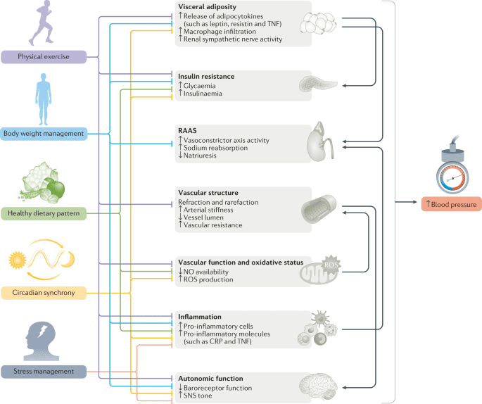 Taking Control Of Hypertension: Lifestyle Changes And Medication Management
