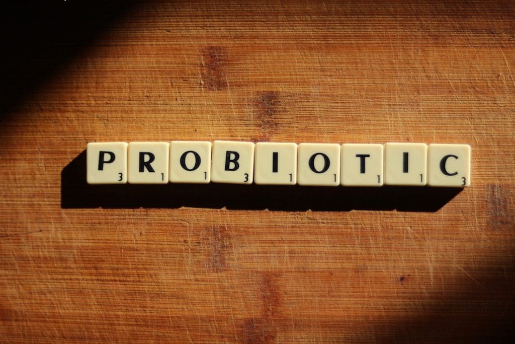 The Benefits Of Including Probiotic-rich Foods In Your Diet