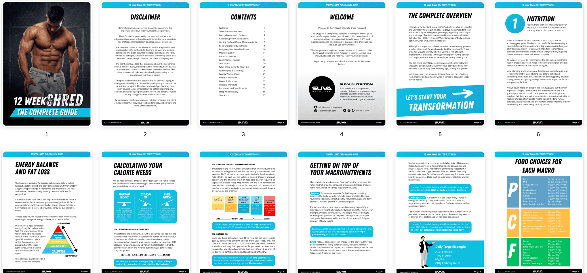 The Complete Guide To Mens Nutrition The Complete Guide To Mens Nutrition
