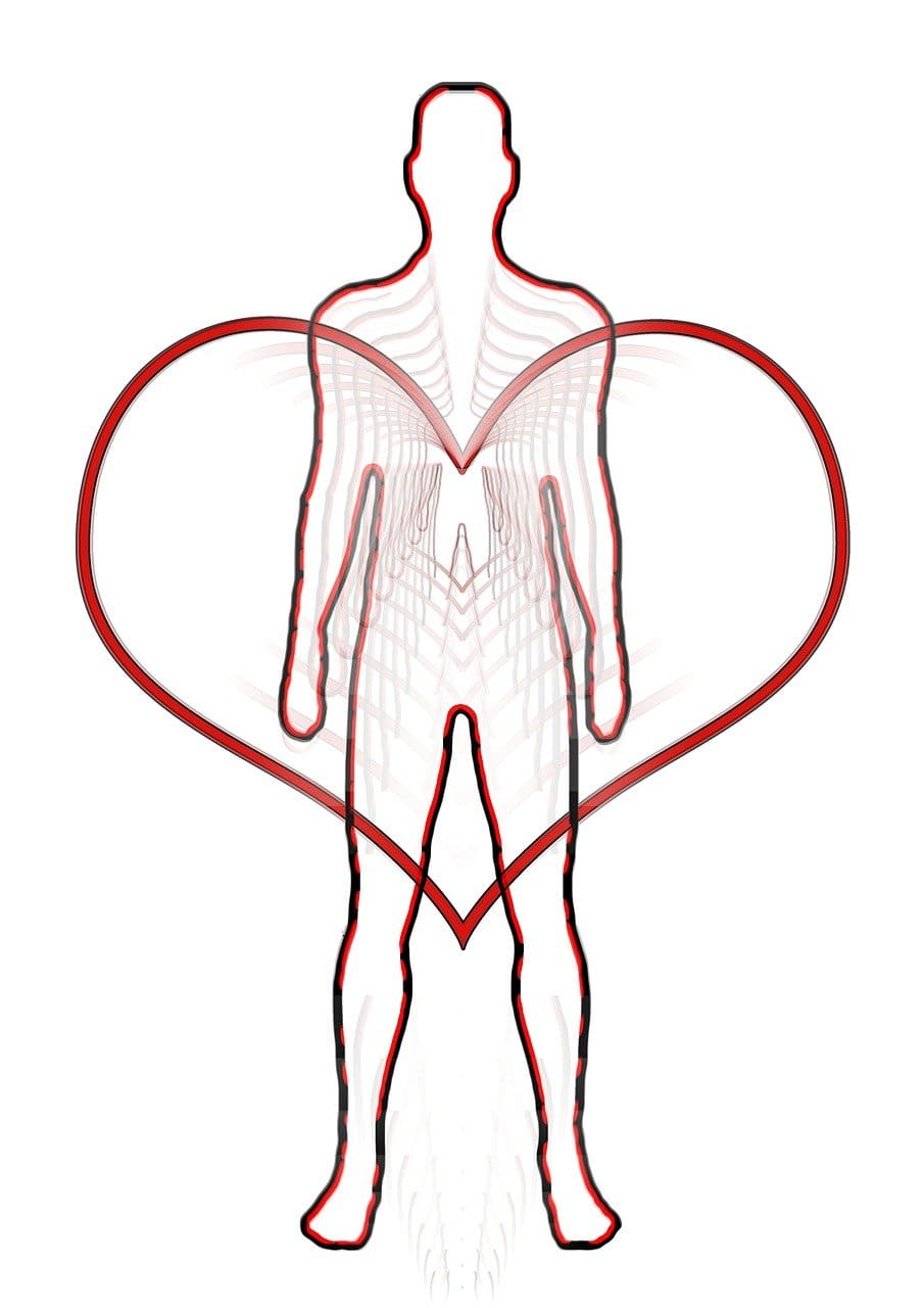 The Connection Between Holistic Health And Sustainability