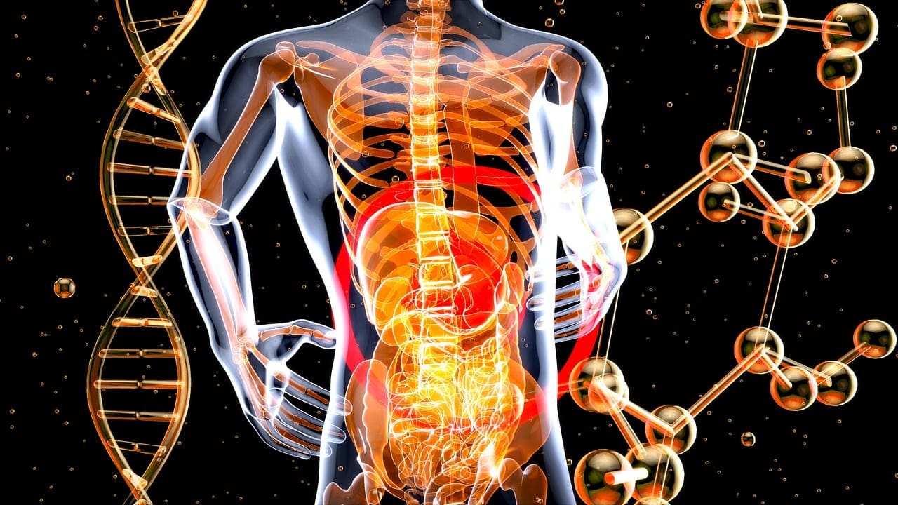 The Link Between Gut Health And Womens Well-being