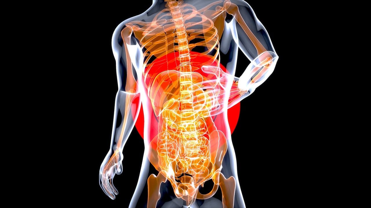 The Link Between Gut Health And Womens Well-being