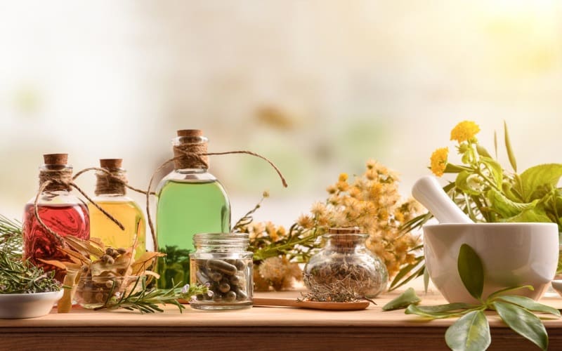 The Role Of Herbal Medicine In Holistic Health The Role Of Herbal Medicine In Holistic Health