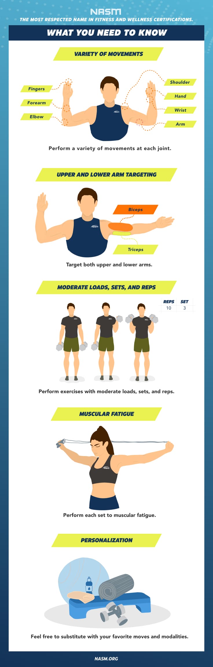 Top 10 Arm Exercises For Sculpted Muscles