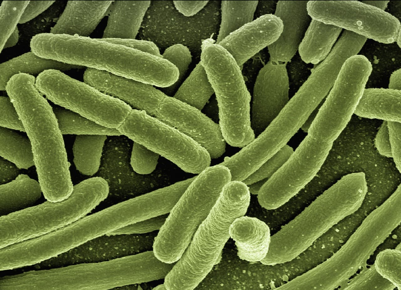 Top Ways To Boost Mens Immune System In Winter