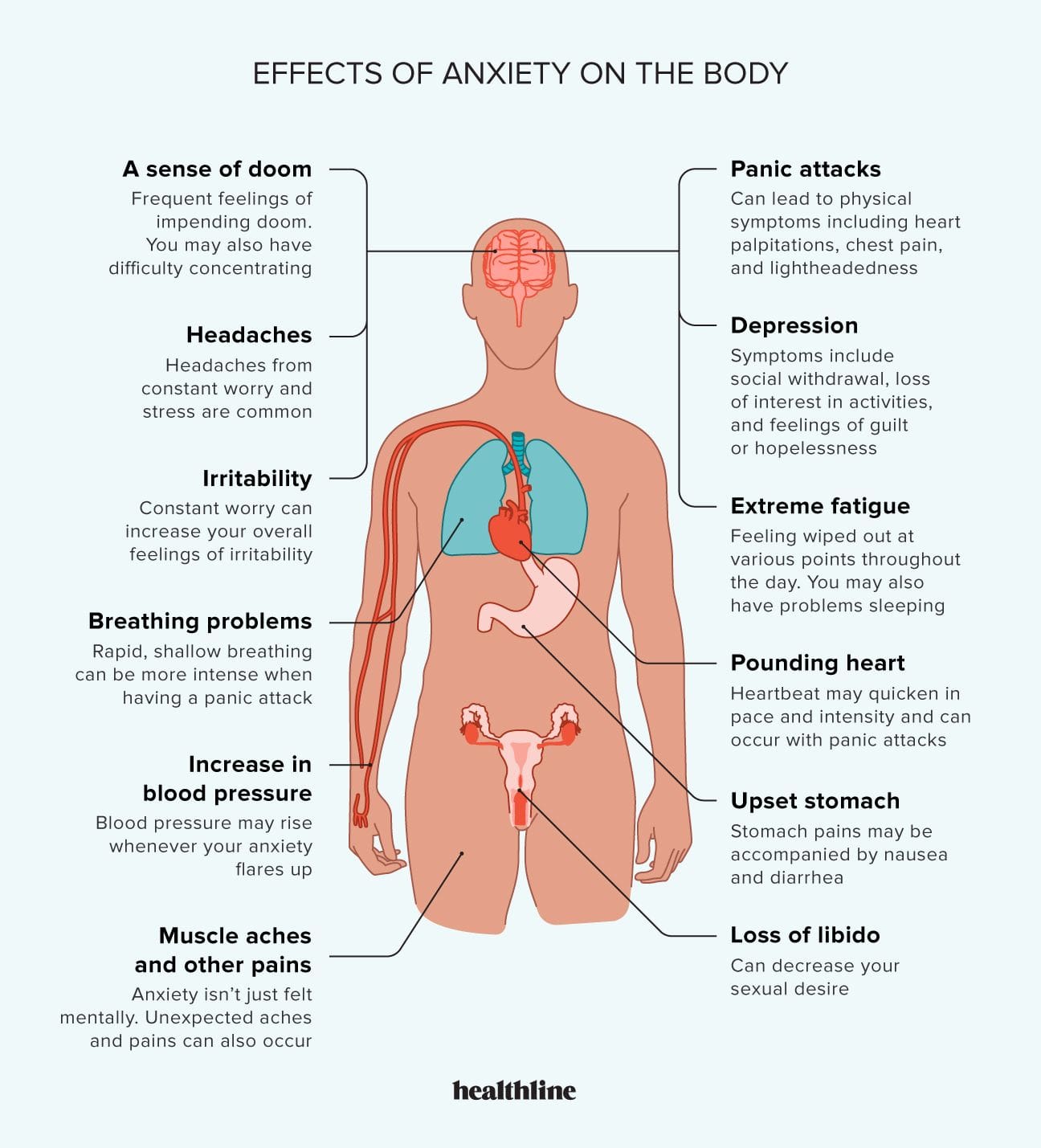 Understanding Anxiety And Its Effects