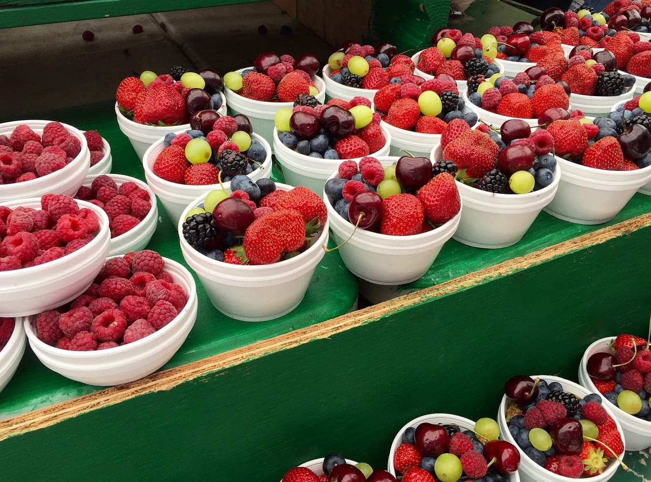 Beginner’s Guide To Incorporating More Plant-based Meals Into Your Diet