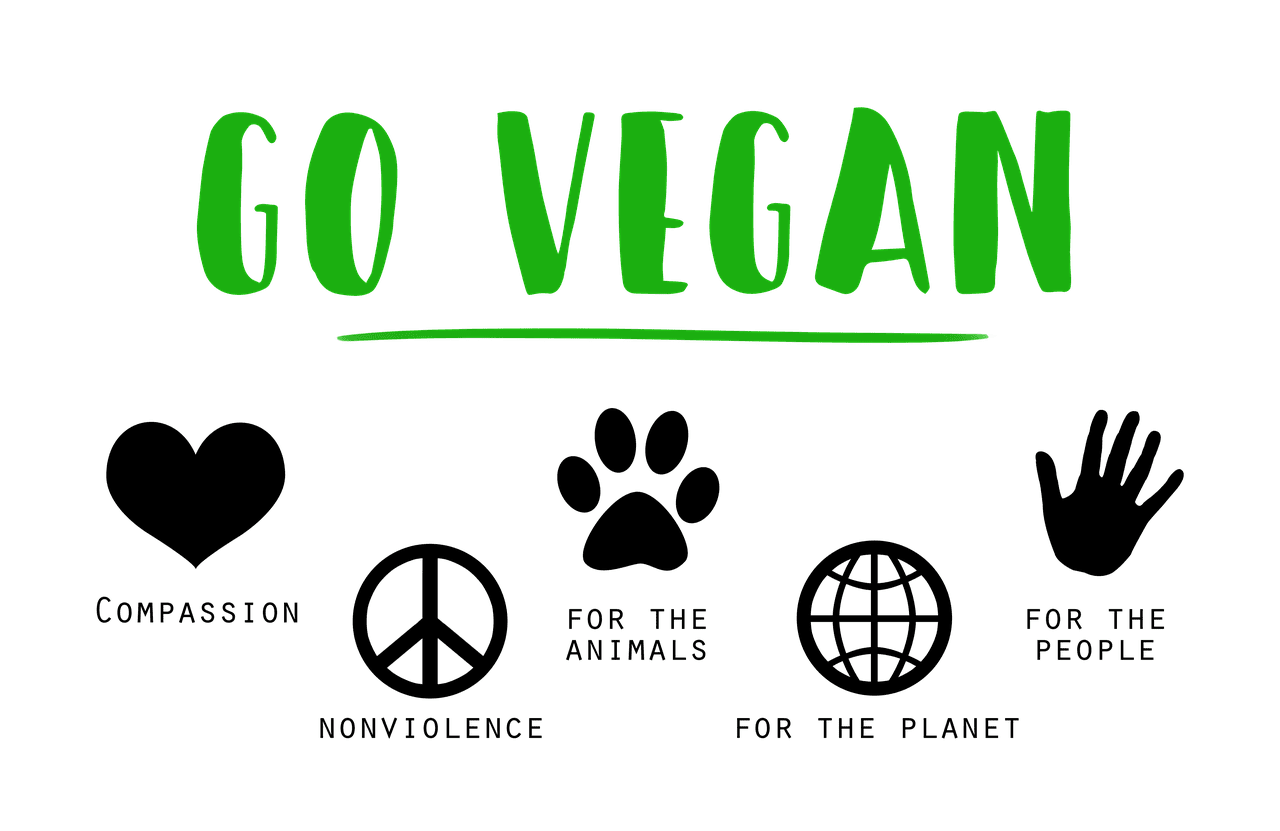 Beginners Guide To Incorporating More Plant-based Meals Into Your Diet