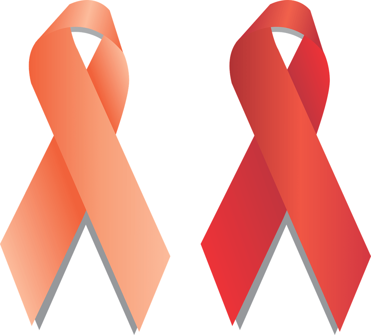 Beginners Guide To Living With Multiple Sclerosis