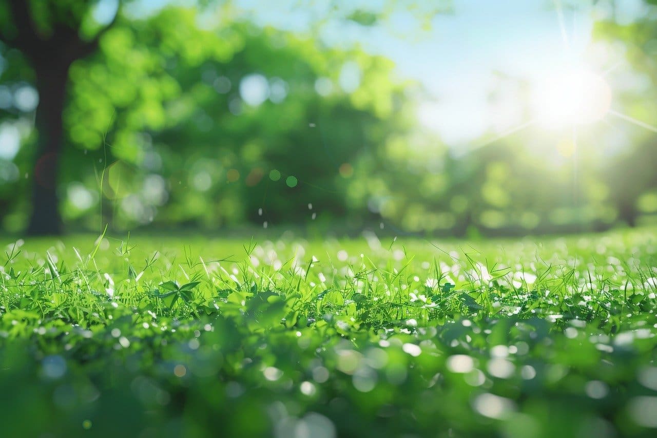Benefits Of Outdoor Activities For Exercise And Vitamin D Benefits Of Outdoor Activities For Exercise And Vitamin D