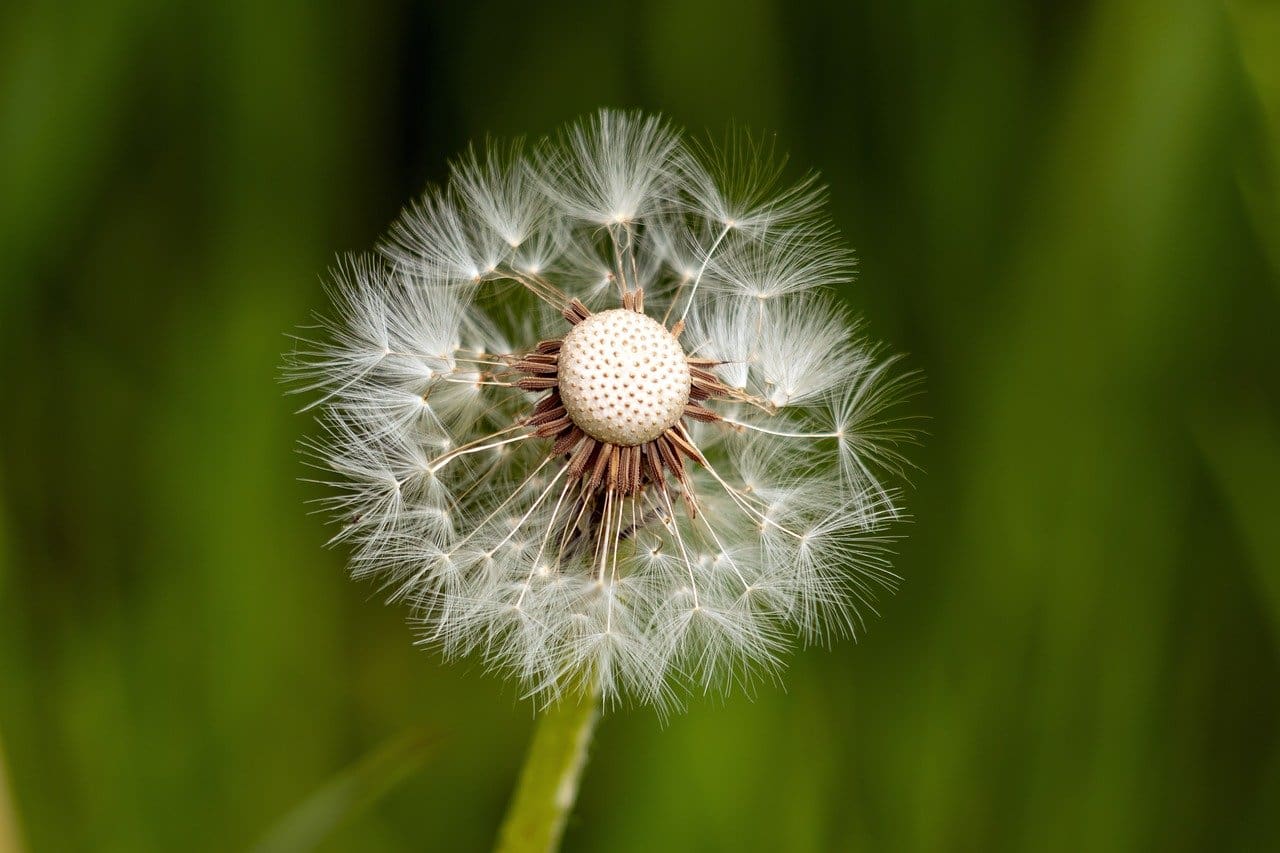 Finding Meaning And Purpose In Adversity: Resilience And Post-Traumatic Growth