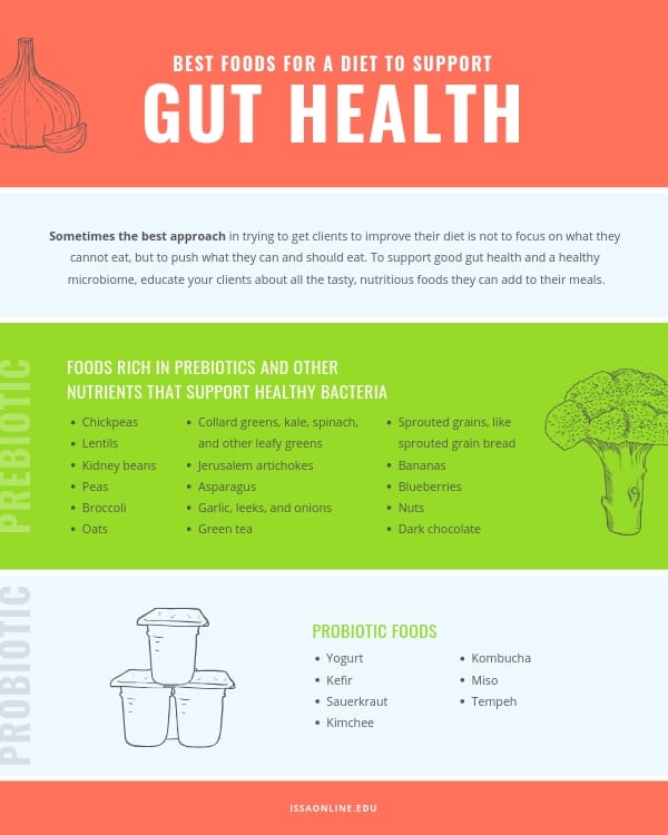 How To Support Gut Health And Digestion Through Diet And Lifestyle Changes