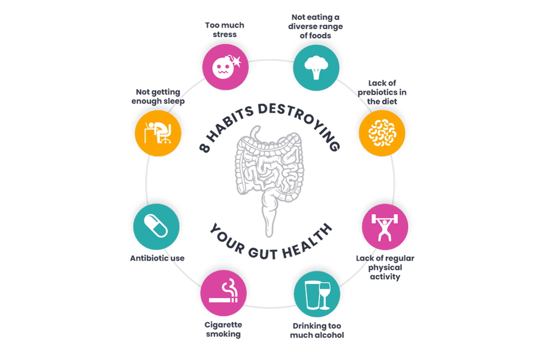 How To Support Gut Health And Digestion Through Diet And Lifestyle Changes