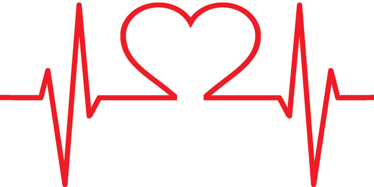 How To Support Heart Health Through Diet And Exercise As A Woman
