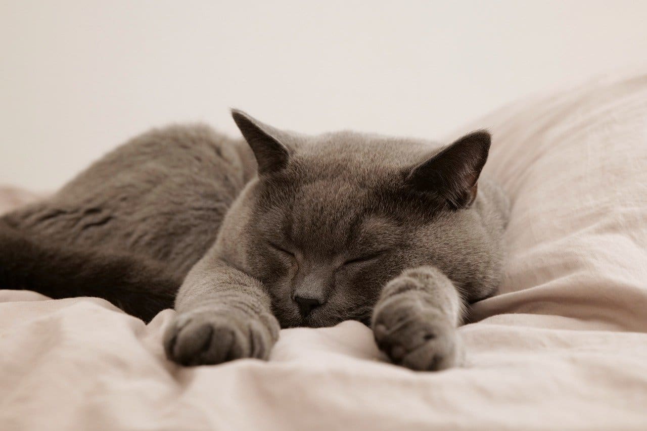Improving Sleep Quality For Mens Health