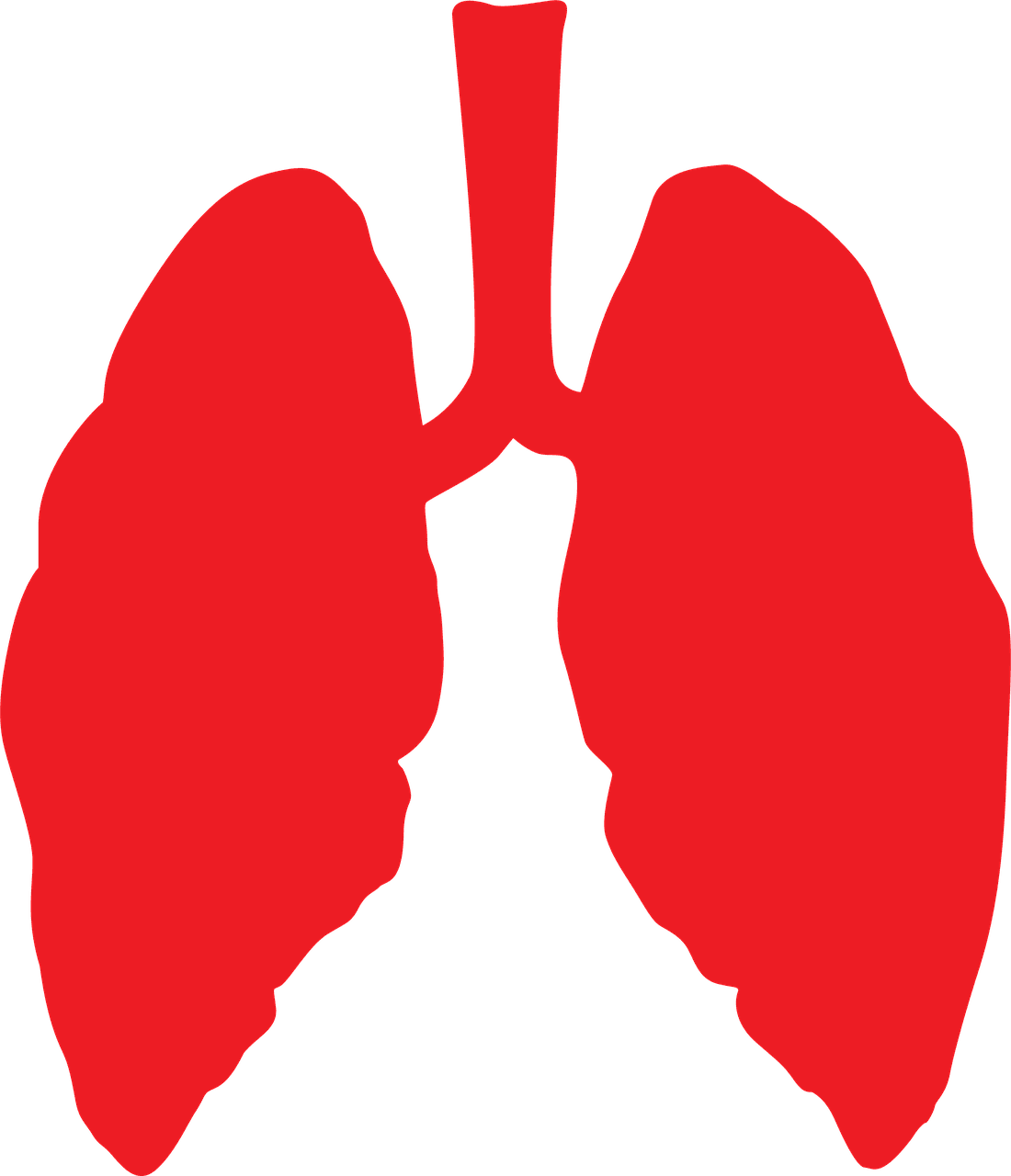 Incorporating Holistic Approaches Into Cancer Care