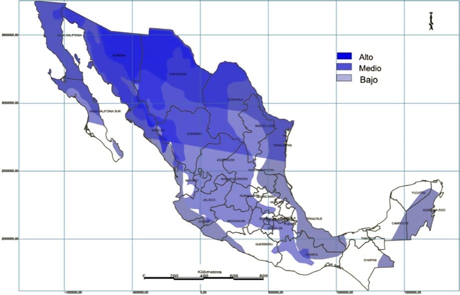 Longevity In Different Cultures And Regions